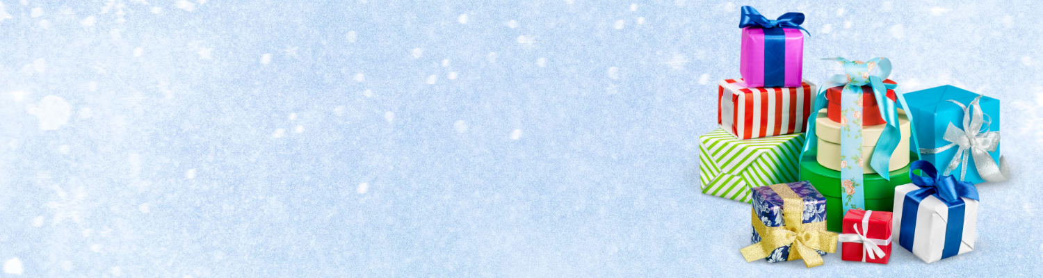 Support Our Holiday Gift Drive!