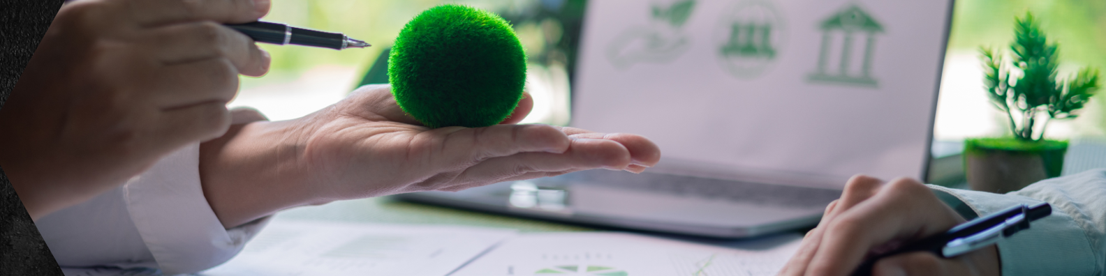 2026 Sustainable Solutions Showcase | February 5